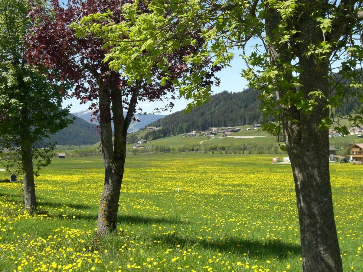 Faltnerhof Planca di Sopra Экстерьер фото